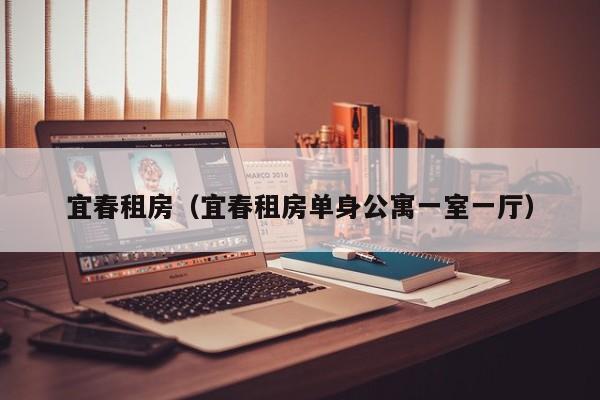 宜春租房（宜春租房单身公寓一室一厅）