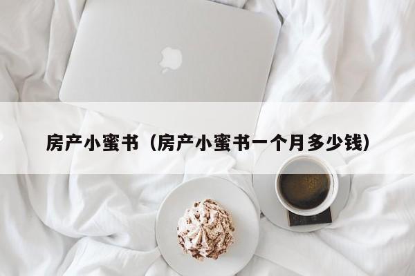 房产小蜜书（房产小蜜书一个月多少钱）